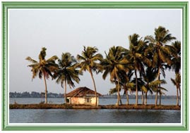 Kerala Backwaters Tour