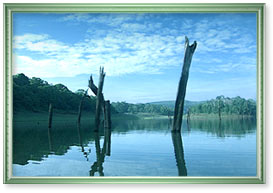 Thekkady in Kerala